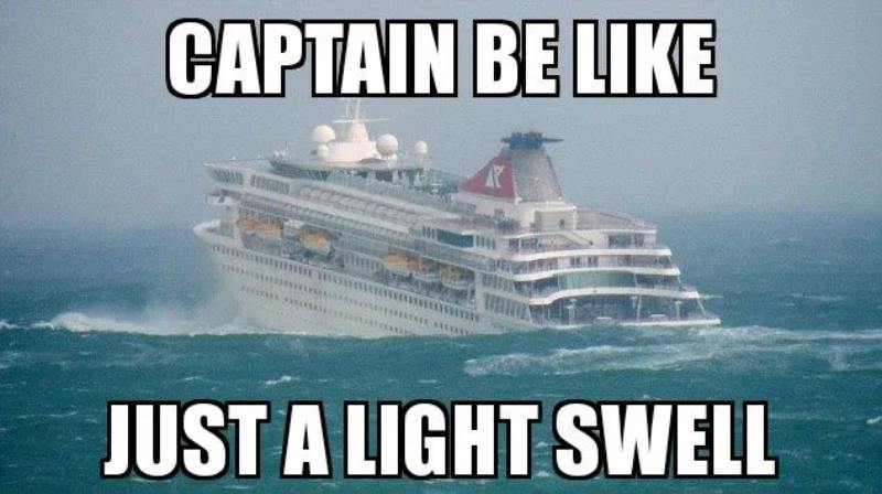 Cruise Meme - Just a Light Swell