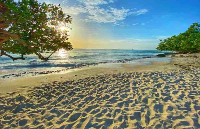 Eagle Beach, Aruba