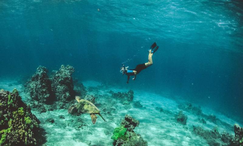 Person Snorkeling