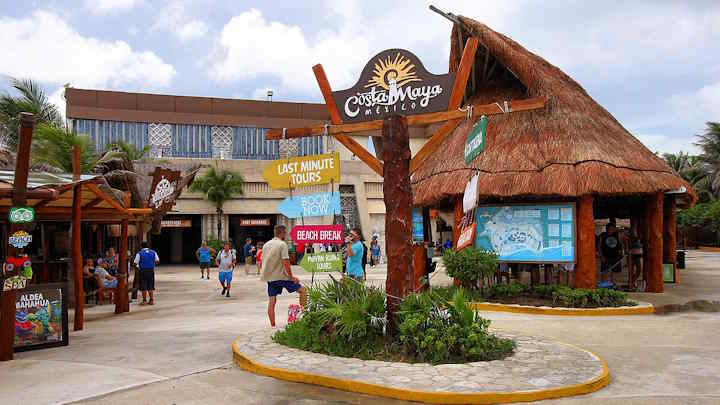 costa maya cruise port bird sanctuary