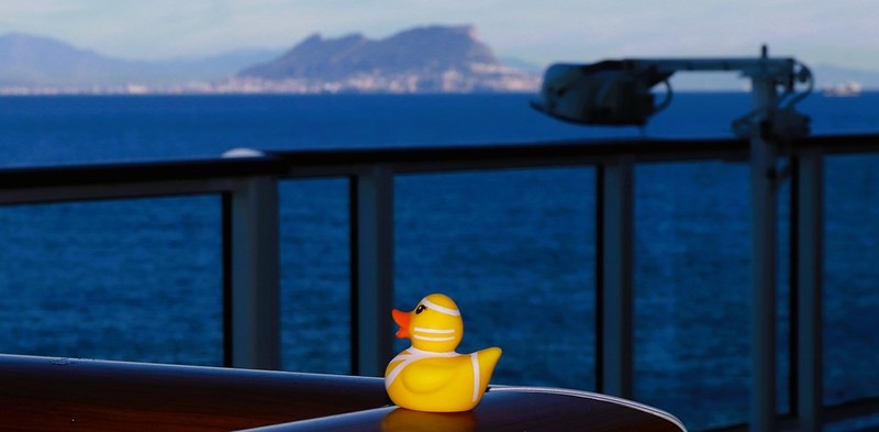 Cruise Duck 2