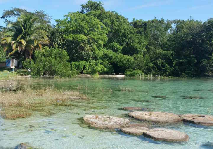 Stromatolites Bacalar Lagoon