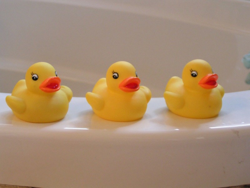 Three Rubber Ducks