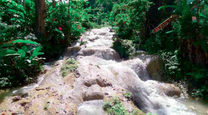 Turtle River Falls Ocho Rios