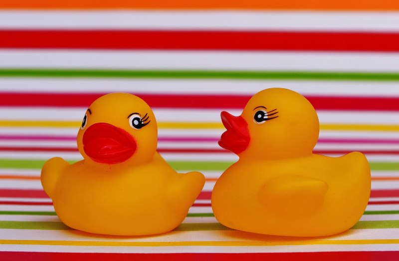 Two Rubber Ducks