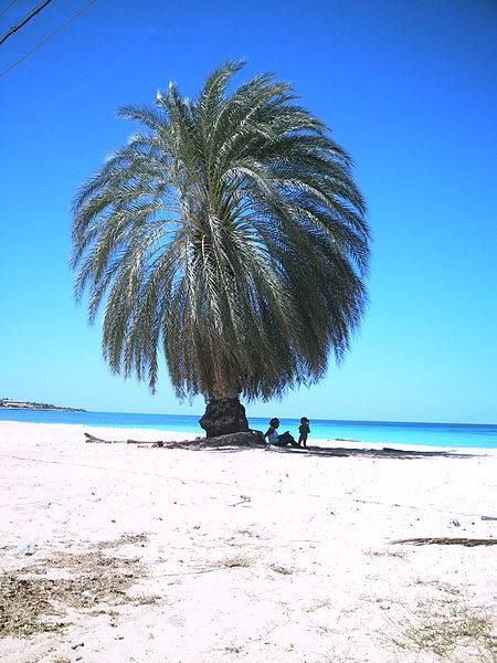 Playa de Pedernales