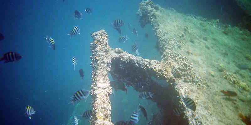 Antilla shipwreck Aruba