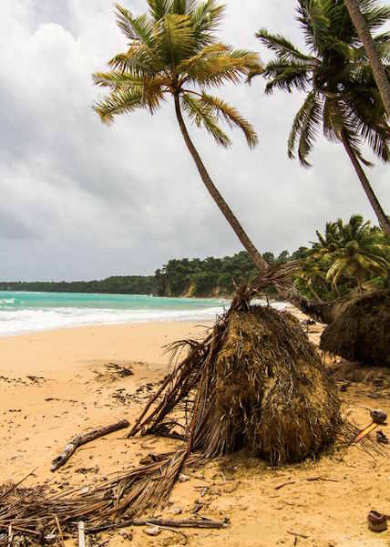 Playa Grande Luperón