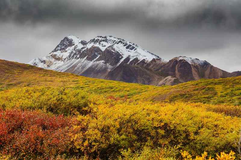 Alaskan Autumn