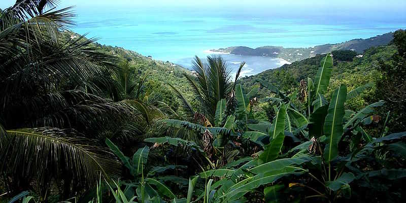 Sage Mountain National Park Tortola