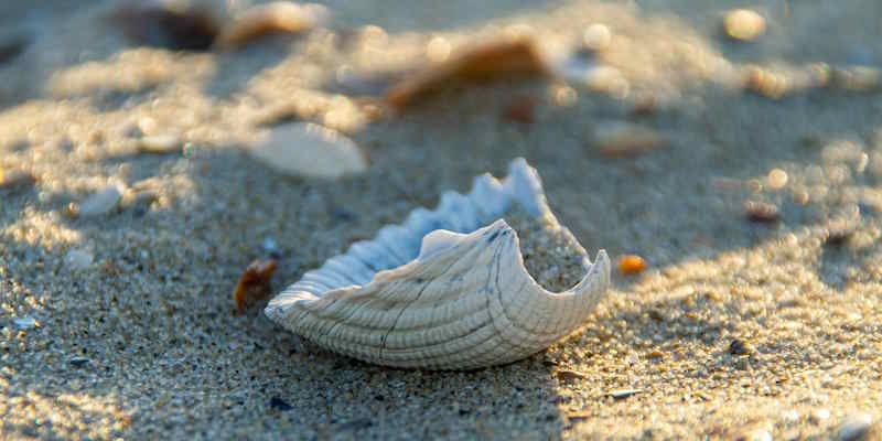 Tamarind Reef Beach