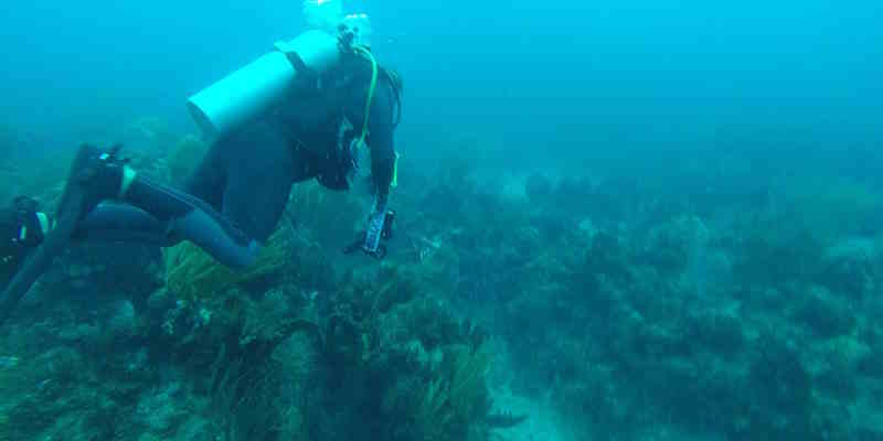 snorkeling in Virgin Gorda