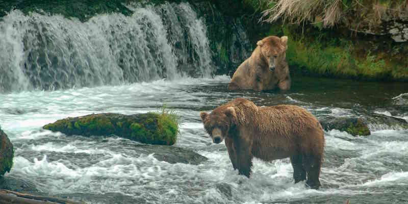 Katmai National Park