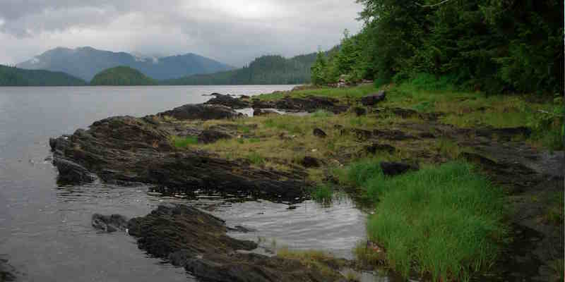 Tongass National Forest