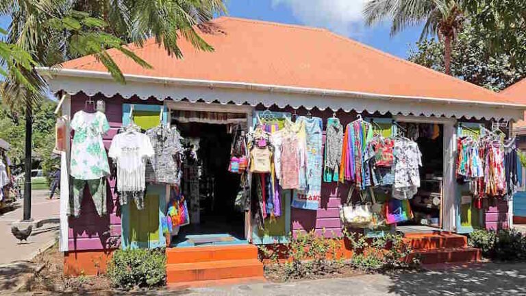 Top 29 Things to Do at Tortola Port in the BVI on a Cruise Day