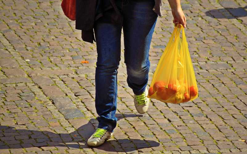 Person Carrying Food