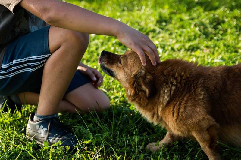 Man With Pet