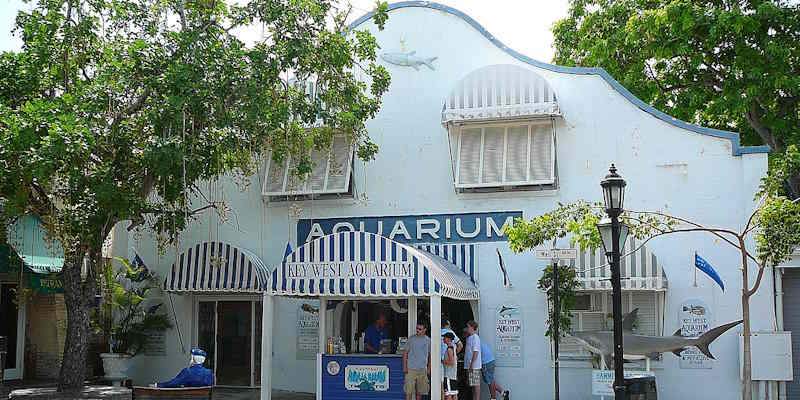 The Key West Aquarium