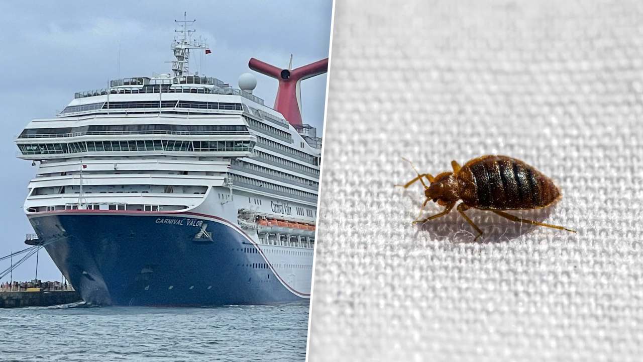 Couple Sues Carnival Cruise Line Over Alleged Bed Bug Infestation Thumbnail